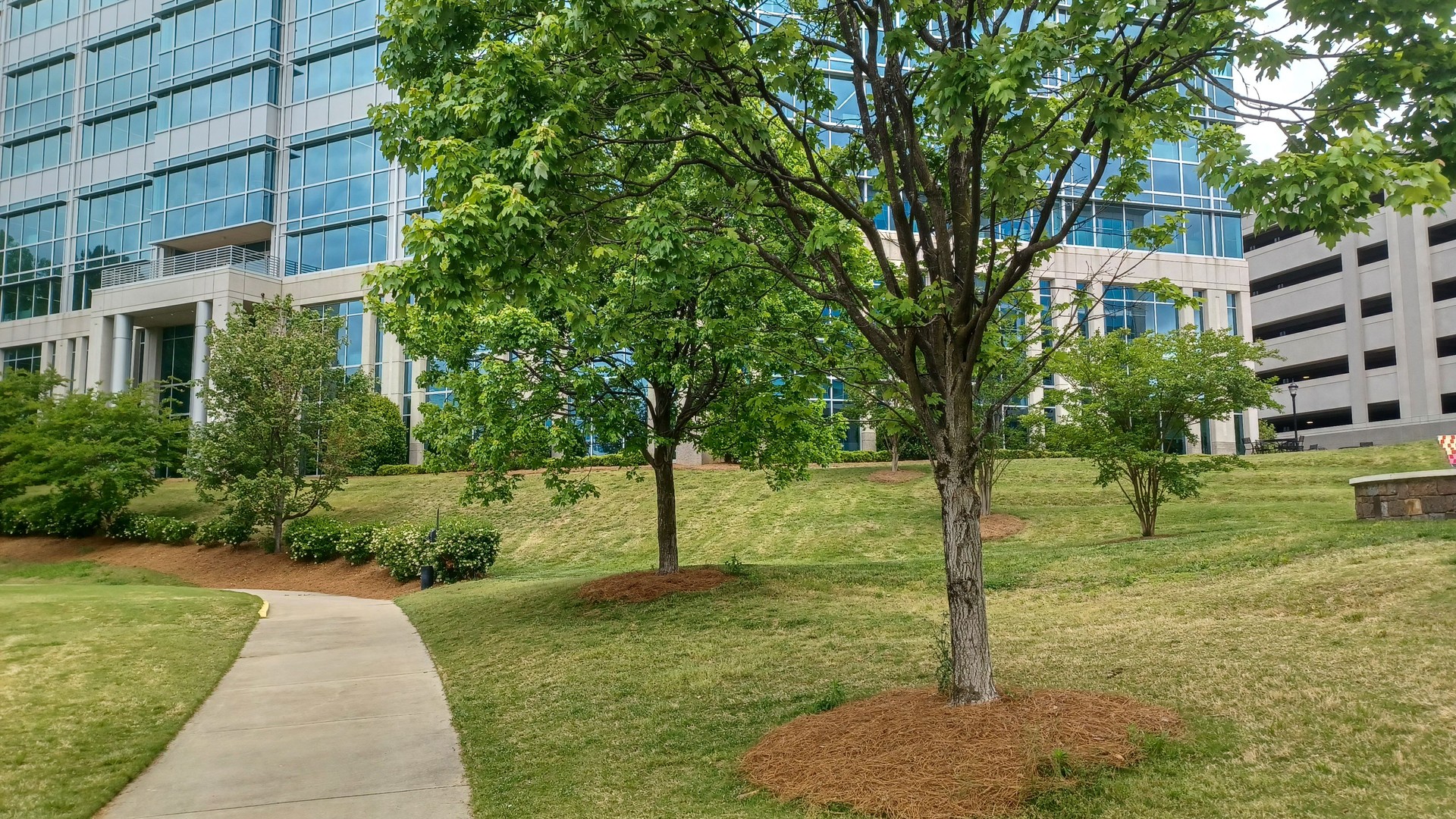 Office Buildings in Ballantyne Corporate Park